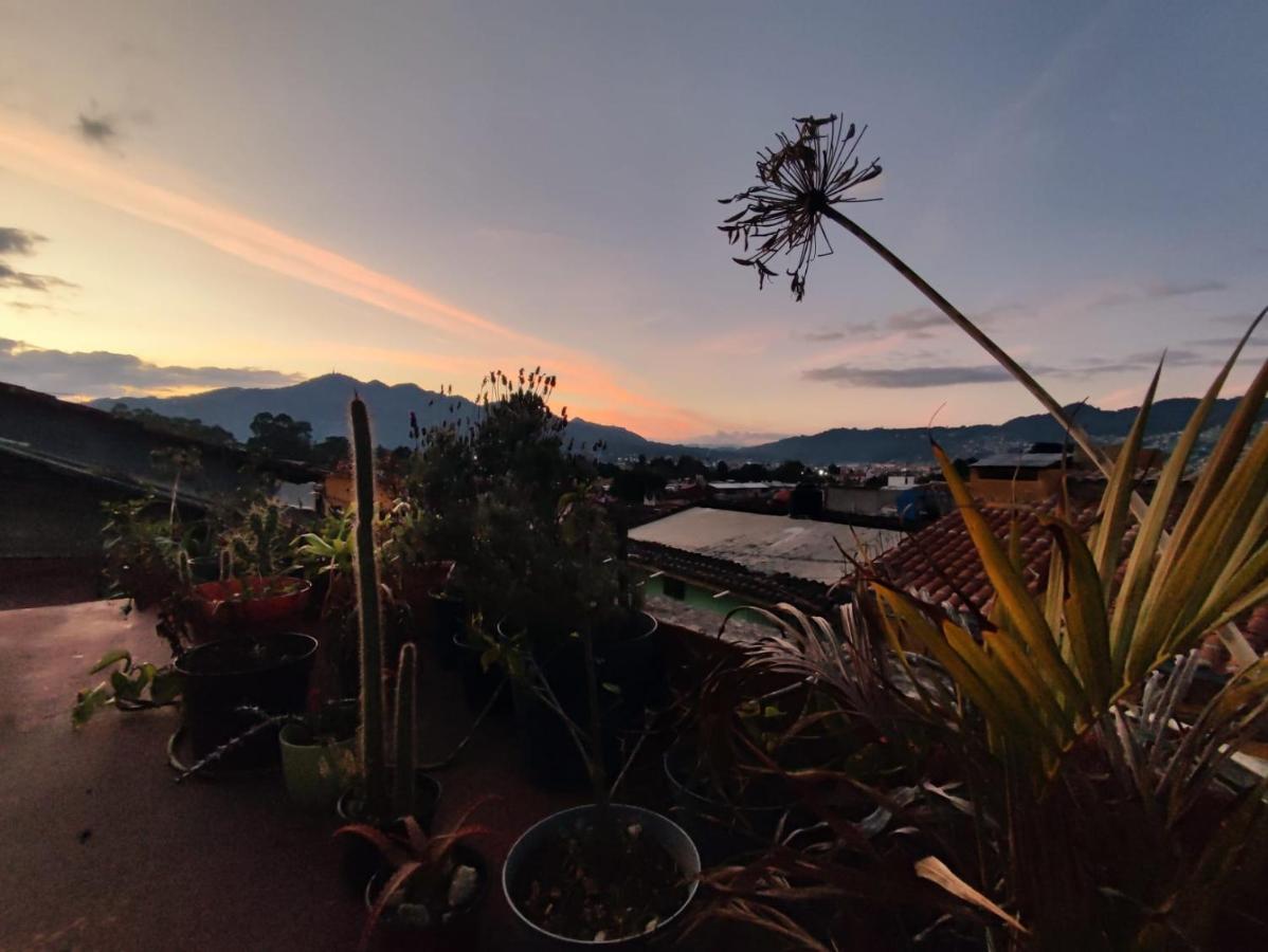 Casa Satoshi Hostel San Cristobal de las Casas Bagian luar foto